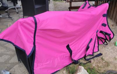 Couverture de paddock Rose 