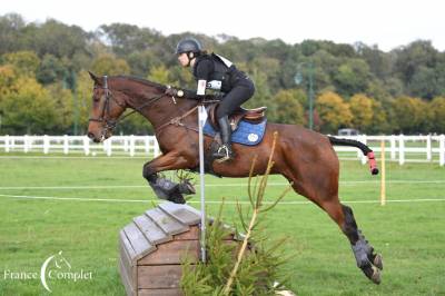 Hongre 11 ans cce dressage cso