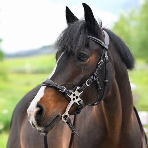 Bridon Hackamore - Collection One Premium - Jump'In - Cuir italien