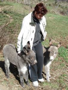 troupeau Anes SARDES et MINIATURE 