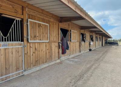 Écurie de neuve sur 5ha coeur Calvados (14) 