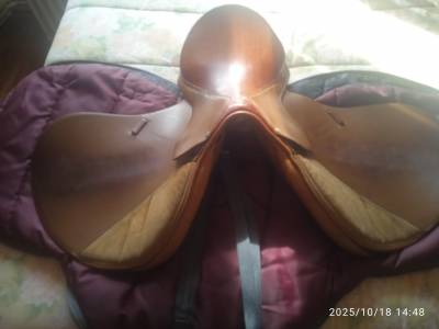 selle Forestier Mixte 