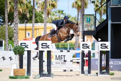 Cheval d'expérience