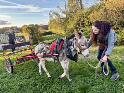 Petit &Acirc;ne BAI PIE