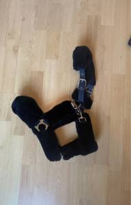 Licol Moumoute Bleu Cob