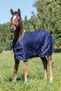 Couverture pour poulain Professional - HKM - Robuste et respirante