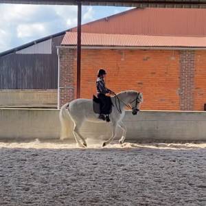 URGENT cherche apprentissage AE