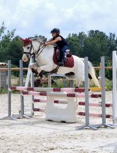 Poney de sport Welsh 