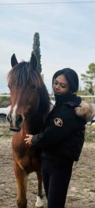 &Agrave; la vente magnifique poney