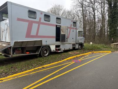 Vend pl 8 chevaux renaullt