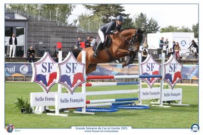 Hongre 6 ans tr&egrave;s performant 