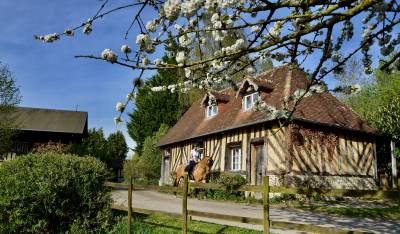 G&icirc;te 5 pers au sein du Domaine &eacute;questre de l&rsquo;Ormerie 