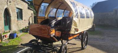 cal&egrave;che wagonnette de 12 + 2 places