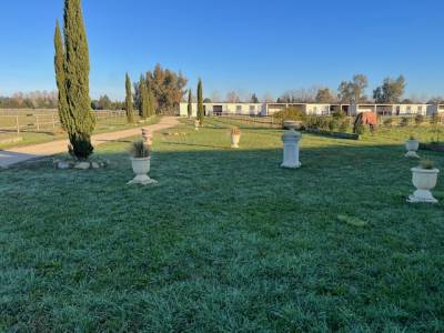 Structure &eacute;questre