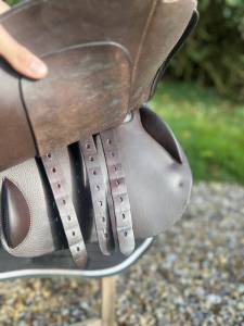 Selle S&eacute;oul forestier