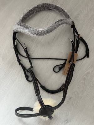 Filet kentucky poney