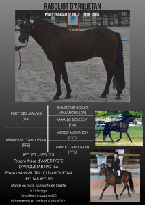 Raboliot d'Arquetan - Approuvé PFS