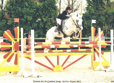 Coup de saut, polyvalence, facilit&eacute;, performant CSO