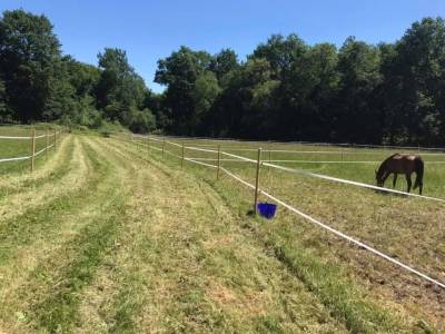 &Agrave; 30 minutes de Bergerac &ndash; 3 logements sur 4 hect