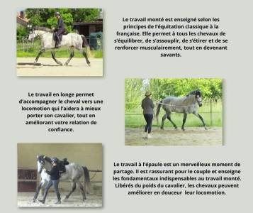 &Eacute;quitation Baliros, l'&eacute;quitation &agrave; domicile.