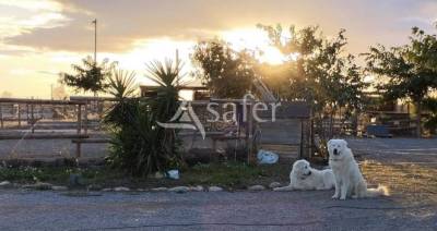 Opportunit&eacute; d'installation et lieu de vie pr&egrave;s de P&eacute;z&eacute;nas et