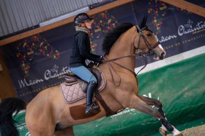 Hongre SF 12ans Orient&eacute; CSO, par Quite Easy