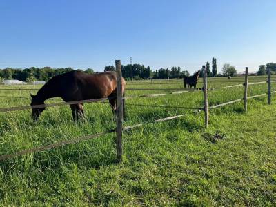 Haras des Blanpins pr&eacute; box 7j/7
