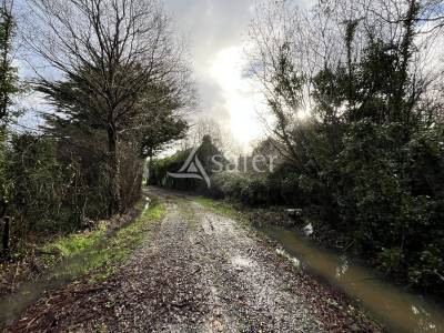 Maison en ruine avec bois et friches