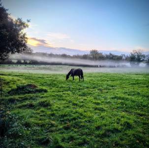 &Eacute;curie des Vergnes &agrave; Saint R&eacute;v&eacute;rend (Vend&eacute;e &ndash; 85)