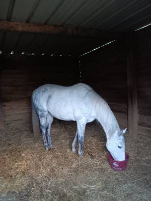 Box &agrave; d&eacute;monter 