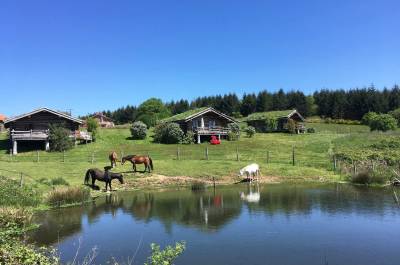 Domaine Equestre centr&eacute; sur le Bien Etre &eacute;quin et l'Agro&eacute;co