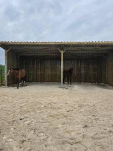 Places disponibles en Pension &eacute;curie dynamique Samatan