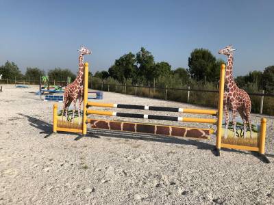 Lot d&rsquo;obstacles Safari 