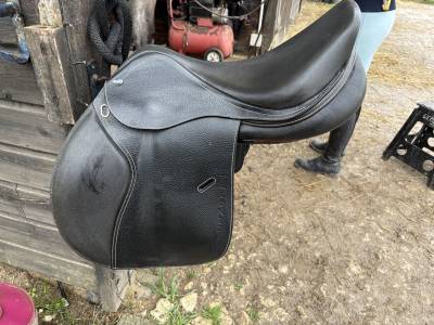 Selle ikonic mixte servie 1 an