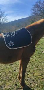 Tapis P&eacute;n&eacute;lope noir 