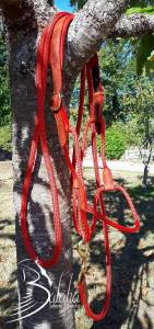 Licol &eacute;thologique 