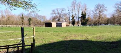 Pension chevaux pr&eacute; ou pr&eacute;/boxe