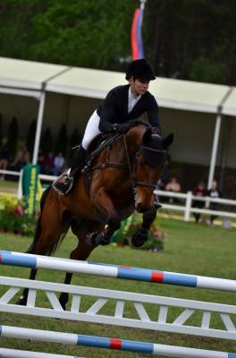 Hongre SF 10 ans CCE/CSO