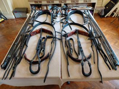 Harnais de tradition en paire fabriqu&eacute;s par Bechtold