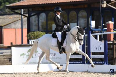 Jument - Lusitanienne - 12 ans - Dressage  PSG - France