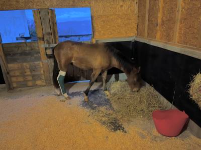 Pension m&eacute;dicalis&eacute;e/convalescence 