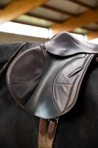 Selle arion 