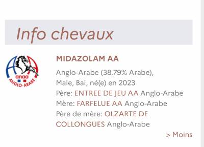 Anglo arabe pp