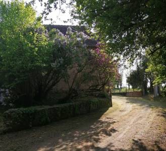 Fermette terrain 1 HA  &agrave; Sainte-Sabine-sur-Long&egrave;ve 72380