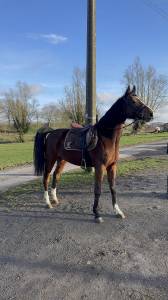 ? Neverfull d&rsquo;Aubry &ndash; 4 ans &ndash; Origines UNTOUCHABLE &ndash; G