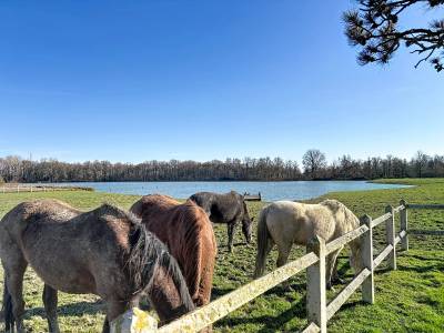 Domaine d'exception de 35 hectares (01)