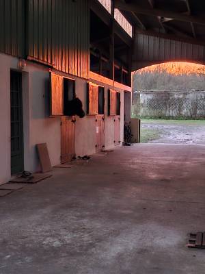 Pension temporaire travail, r&eacute;forme, manipulation ou co