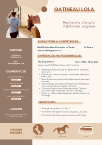 Recherche emploi ou apprentissage palefrenier soigneur