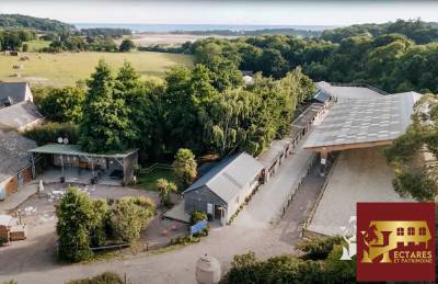 Centre &eacute;questre en activit&eacute; bord de mer