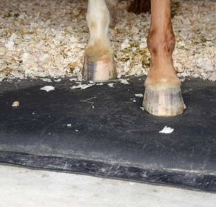 Matelas m&eacute;moire de forme cheval 50kg 